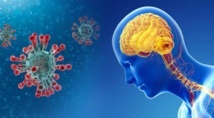 فيروس كورونا يصيب الدماغ فيروس كورونا يصيب الدماغ