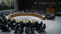 مجلس الأمن يمرر بالإغلبية قرارا بتمديد إدخال المساعدات إلى سورية