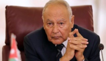 أبو الغيط يحذر من "كارثة" أخرى على سواحل دولة عربية