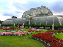 حدائق لندن... بيوت زجاجية رائعة تضم كنوزا من نباتات العالم  