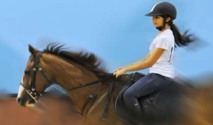 أبوظبي تنظم سباق "تحمل خيول" للسيدات بجوائز هي الأغلى في العالم