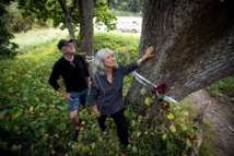 محتجون في نيوزيلندا يتصدون لإزالة أشجار عمرها 100 عام محتجون في نيوزيلندا يتصدون لإزالة أشجار عمرها 100 عام