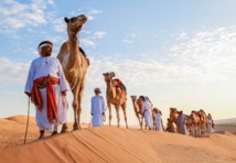  رحلة فوق ظهور الإبل عبر صحراء "بني وهيبة" العُمانية