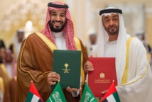 ولي عهد السعودية وولي عهد ابو ظبي - تويتر