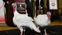 من تقاليد عيد الشكر الاميركي العفو عن ديكين