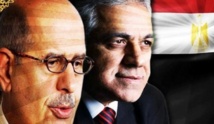 الداخلية المصرية تؤمن منزلي البرادعي وصباحي بعد فتوى تجيز قتل المعارضين الداخلية المصرية تؤمن منزلي البرادعي وصباحي بعد فتوى تجيز قتل المعارضين