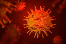 سلالة فيروس كورونا الجديدة : كيف تحدث الطفرات ولماذا؟