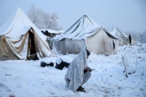 مفوضة أوروبية تطالب بإيواء عاجل للمهاجرين في البوسنة مفوضة أوروبية تطالب بإيواء عاجل للمهاجرين في البوسنة