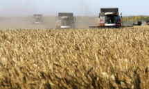 "عام القمح".. الإحصائيات تنذر بأزمة خبز أكبر في سوريا هذا العام "عام القمح".. الإحصائيات تنذر بأزمة خبز أكبر في سوريا هذا العام