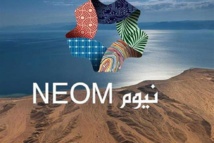 بعد واقعة أمير الكويت."العرب" تغضب السعوديين والإمارات تتنصل