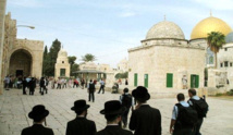 مستوطنون بينهم قيادات من الليكود  يقتحمون ساحات المسجد الأقصى بحماية الشرطة