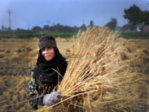 التنمية المستدامة ودور المرأة الريفية في اقتصاديات الدول النامية