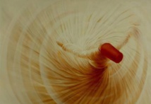 المعرفية عقيدة الوجود الواحد المعرفية عقيدة الوجود الواحد