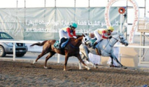 الإمارات ستنظم 40 سباقا للخيول العربية في أوربا وأمريكا خلال العام الجاري
