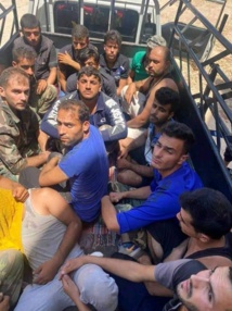 اسرى من الميليشيات وقوات النظام اسرى من الميليشيات وقوات النظام