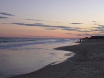 السياح الاجانب يشكلون سلسلة بشرية على شواطئ الحمامات التونسية لدعم السلام السياح الاجانب يشكلون سلسلة بشرية على شواطئ الحمامات التونسية لدعم السلام