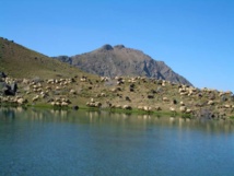 مليار ونصف مليار دولار خسائر عائدات السياحة منذ بدء النزاع في سوريا مليار ونصف مليار دولار خسائر عائدات السياحة منذ بدء النزاع في سوريا