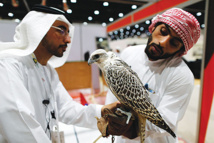 خليجيون يقتحمون الصحراء لصيد الطيور والحيوانات البرية بالذهب والفضة خليجيون يقتحمون الصحراء لصيد الطيور والحيوانات البرية بالذهب والفضة