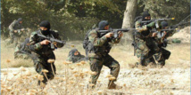 عملية عسكرية في محافظة باجة التونسية
