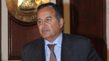 وزير الخارجية المصري