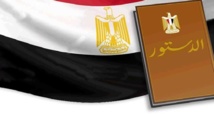تسليم نص مشروع الدستور المصري الجديد رسميا الى الرئيس المؤقت تسليم نص مشروع الدستور المصري الجديد رسميا الى الرئيس المؤقت