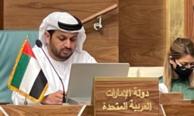 حمد الشامسي سفير الامارات في مصر