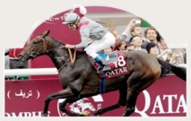 فوز المهره تريف فوز المهره تريف