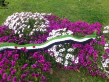 كتب أرّخت للثورة-7 (الجانب الصامت من المأساة) لماهر شرف الدين كتب أرّخت للثورة-7 (الجانب الصامت من المأساة) لماهر شرف الدين