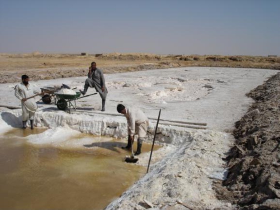 الملح .. ذهب السنغال الأبيض وسيلة لكسب العيش في البلد الأفريقي الملح .. ذهب السنغال الأبيض وسيلة لكسب العيش في البلد الأفريقي