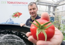 فريق علمي ألماني يجري تجارب لاستزراع "سمكة الطماطم" كبديل غذائي
