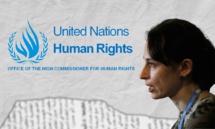 المقررة الخاصة للأمم المتحدة ألينا دوهان - (تعديل عنب بلدي) المقررة الخاصة للأمم المتحدة ألينا دوهان - (تعديل عنب بلدي)