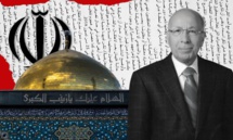 وزير التعليم العالي الأسبق هاني مرتضى - (تعديل عنب بلدي) وزير التعليم العالي الأسبق هاني مرتضى - (تعديل عنب بلدي)