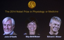 جون أوكيف الحاصل على جائزة نوبل في الطب ينتقد سياسة الهجرة البريطانية جون أوكيف الحاصل على جائزة نوبل في الطب ينتقد سياسة الهجرة البريطانية