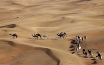 خرائط غوغل تتيح اجراء رحلة افتراضية في صحراء ليوا الاماراتية