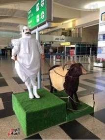 مصر ضمن أكثر الوجهات السياحية شعبية للبريطانيين في عام 2023 مصر ضمن أكثر الوجهات السياحية شعبية للبريطانيين في عام 2023