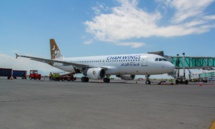 طائرة تابعة لشركة "أجنحة الشام" (موقع أجنحة الشام) طائرة تابعة لشركة "أجنحة الشام" (موقع أجنحة الشام)