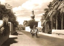 مسجد السراجي - ويكيبيديا مسجد السراجي - ويكيبيديا