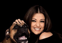 اتهام نجوم في بوليود في قضية "فعل فاضح" في مكان عام اتهام نجوم في بوليود في قضية "فعل فاضح" في مكان عام