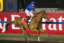 كأس دبي العالمية للخيول : افريكان ستوري مرشح للاحتفاظ باللقب كأس دبي العالمية للخيول : افريكان ستوري مرشح للاحتفاظ باللقب