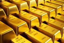 خبير يمني يفسر أهمية جائزة القاعدة لمن يقتل صالح والحوثي خبير يمني يفسر أهمية جائزة القاعدة لمن يقتل صالح والحوثي