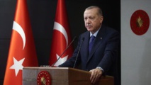 الرئيس التركي رجب طيب اردوغان- الاناضول