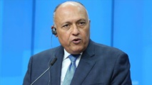 وزير الخارجية المصري سامح شكري- الخارجية المصرية