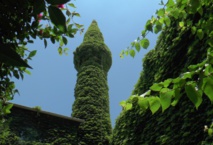 "الجامع الأخضر".. مسجد تغطيه النباتات في "أضنة" التركية