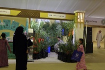 وسط حضور جماهيري مميز مهرجان ليوا للرطب يختتم فعالياته وسط حضور جماهيري مميز مهرجان ليوا للرطب يختتم فعالياته