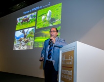  رئيس الإتحاد الدولي لفن التصوير الضوئي يعرض تجربته في ورشة  بمنارة السعديات.