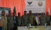  الإعلان عن مجلس عسكري سوري أو حكومة عسكرية خلال أيام