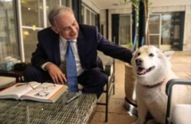 كلبة نتنياهو تعقر اثنين من ضيوفه في عيد الانوار كلبة نتنياهو تعقر اثنين من ضيوفه في عيد الانوار