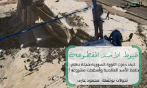 خيوط الأسد المقطوعة: كيف دمرّت الثورة السورية شبكة الأسد العالمية؟ خيوط الأسد المقطوعة: كيف دمرّت الثورة السورية شبكة الأسد العالمية؟