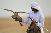 خطف 26 شخصا في مجموعة قطرية لصيد الطيور في جنوب العراق