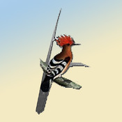 آقصر طريق لتحميل تطبيق الهدهد خماسي اللغات على الاندرويد وآبل